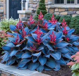 Хоста Грин Фог купить по цене от 669р. в интернет-магазине «Посадика» с доставкой почтой в в Сысертье и по всей России – [изображение №1].